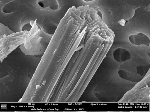FE-SEM image of erionite fibres