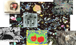 Una sintesi dei numerosi campi di ricerca del gruppo GEO/07 che copre varie tematiche dallo studio petrografico delle rocce ignee, all’ origine dei diamanti, dalla sintesi di laboratorio di rocce e minerali alle loro proprieta’ elastiche ad alte pressioni e temperature.