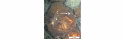 Diamond included in an eclogitic garnet from the Udachnaya kimberlite deposit (Russia)