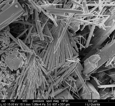 SEM micrograph of  nesquehonite crystals
