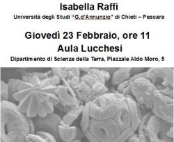 Seminario Prof. Isabella Raffi, Giovedì 23 febbraio 2017 alle ore 11.00, Aula Lucchesi.