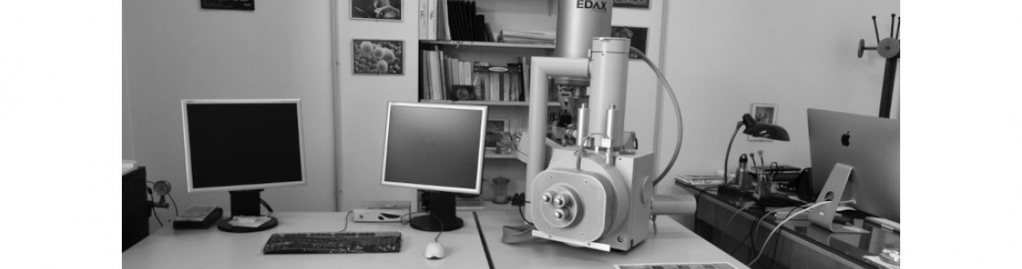 Scanning Electron Microscope (S.E.M.)